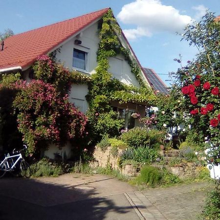 Moebliertes Zimmer, Pluederhausen Pluderhausen Exteriér fotografie